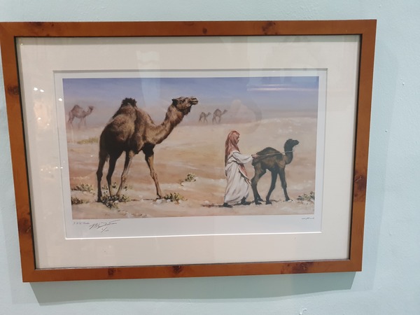 Basra in action Camel in desert